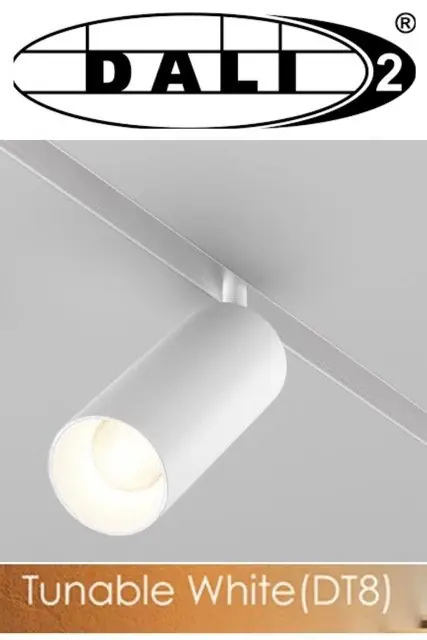 Świetna cena | Reflektor Magnetyczny Dali 12W CCT TUNABLE WHITE DT8