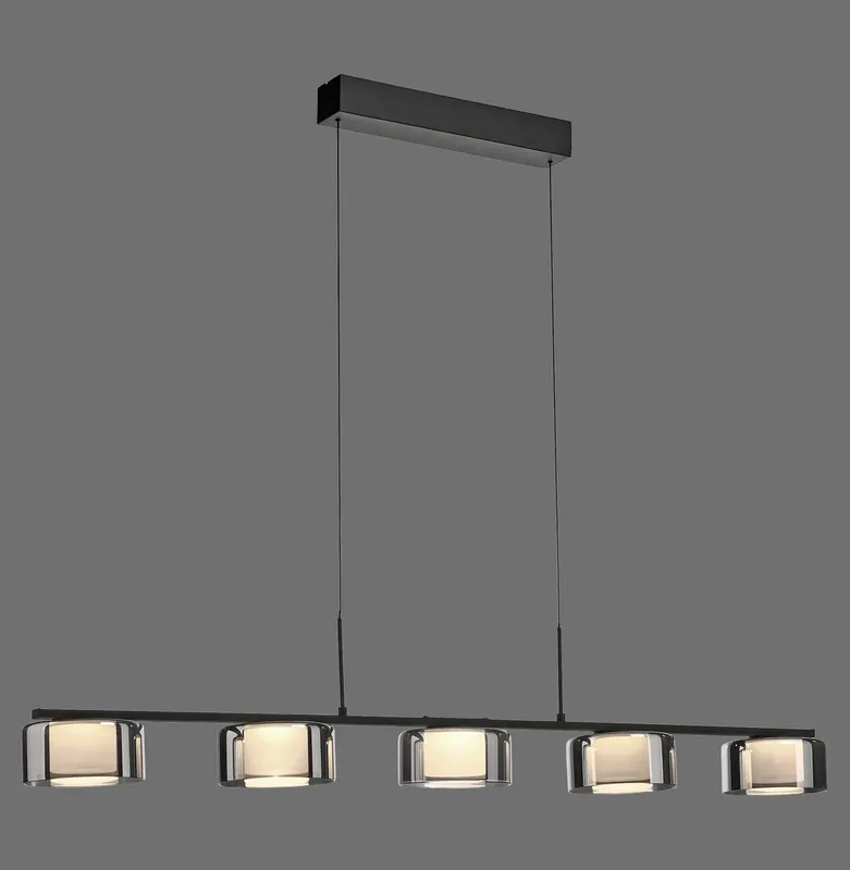 Właśnie dodano - Paul Neuhaus lampa Wisząca Czarny/smoky RIKA 003902-032143