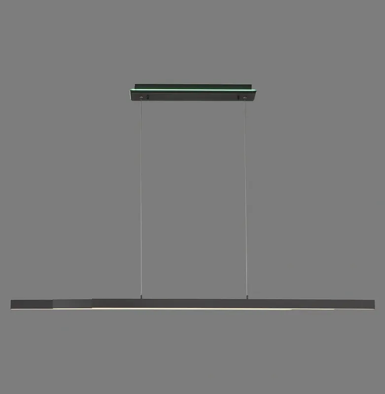 Nie przegap | Paul Neuhaus lampa Wisząca Antracyt Q-ARIAN 003902-031255