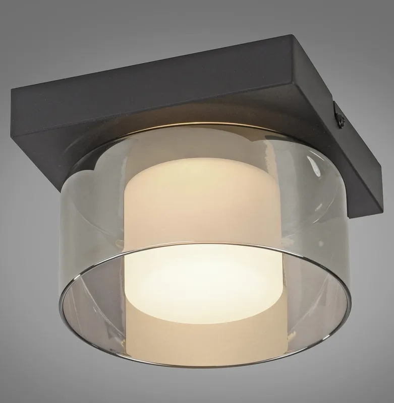 Paul Neuhaus lampa Sufitowa Czarny RIKA 003902-032205 - Tylko kilka sztuk