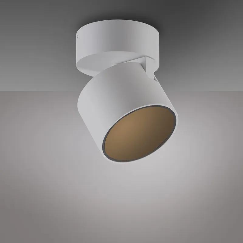 Outlet | Paul Neuhaus 6226-16 Lampa sufitowa PURE CUP 003902-036440