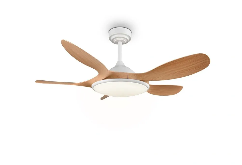 RL R69682130 Wentylator z Lampa sufitowa FLEN R | Szybka dostawa