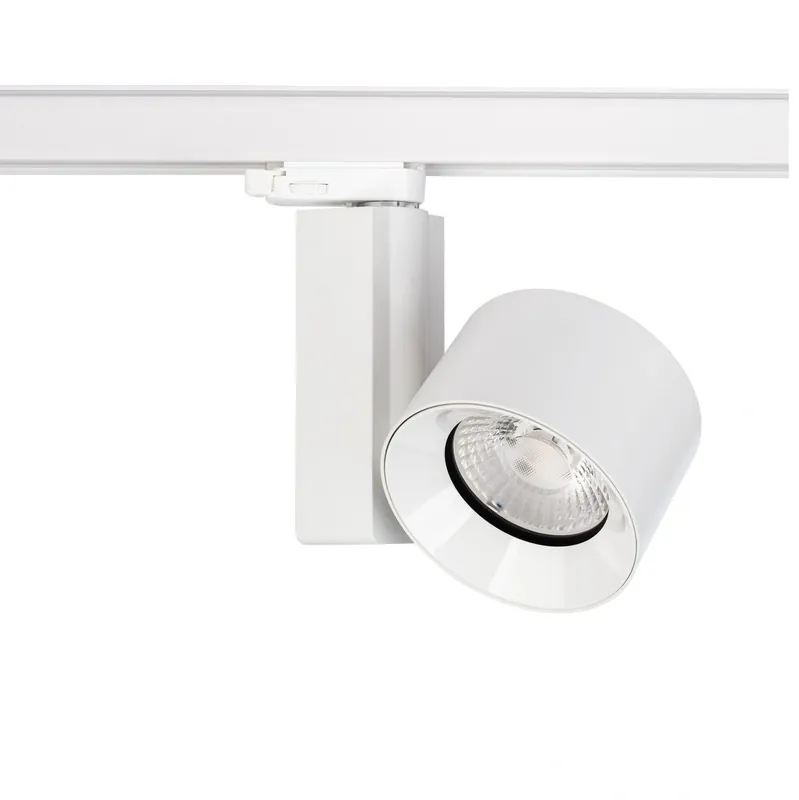 Nowodvorski 8753 Lampa CTLS NEA LED - W sprzedaży