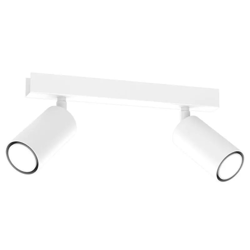 Produkt ceniony przez klientów | Lampa sufitowa HUDSON biała 2xGU10