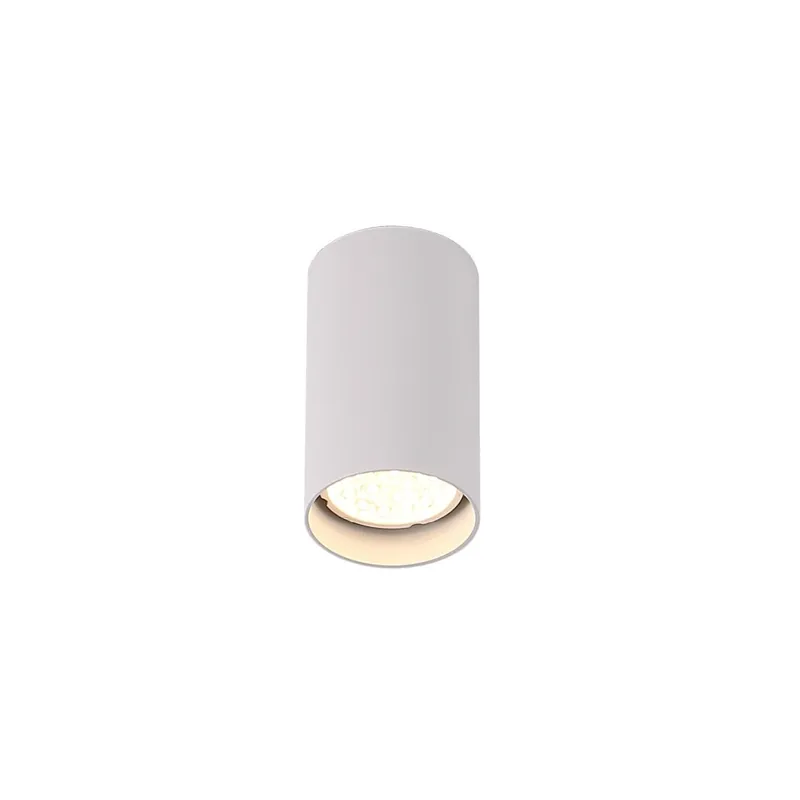 Zamów teraz - Pet Round New lampa sufitowa Maxlight Biały