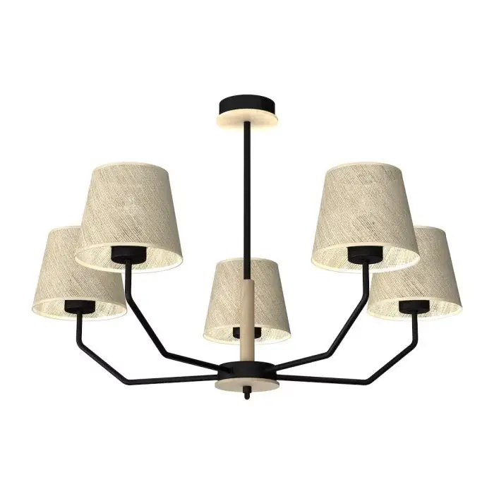 Bezpieczna płatność | Lampa wisząca etna black 5xe27 MLP7277