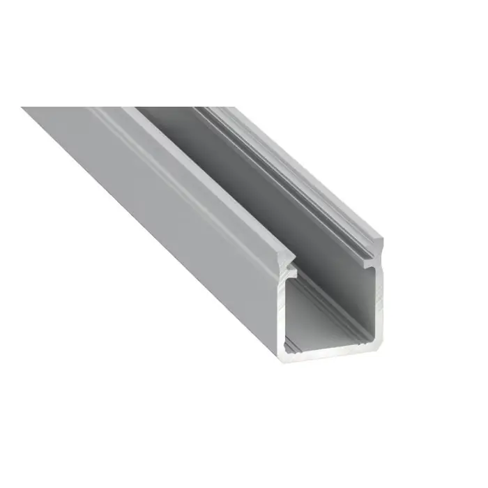 Duży rabat | Profil 2m, silver, typ y EKPR0118