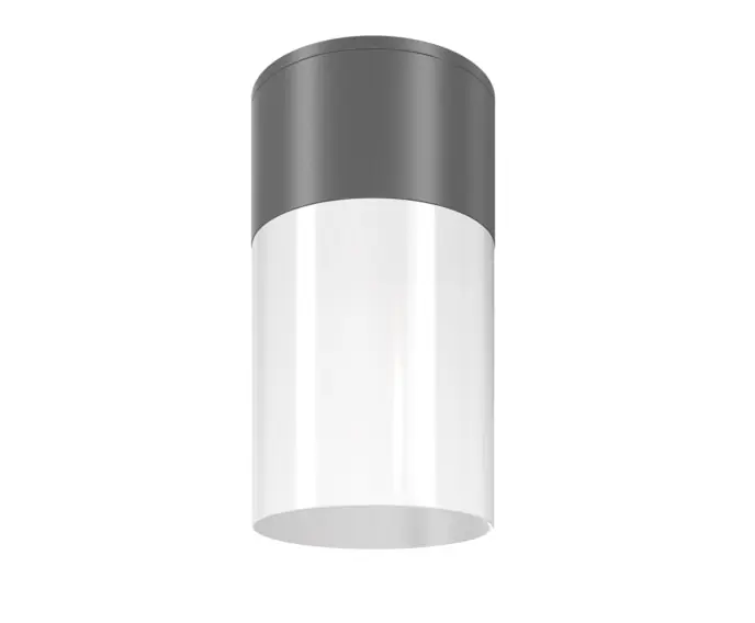 Lampa sufitowa Maytoni Outdoor Willis Maytoni O418CL-01GR - Nowość w sprzedaży
