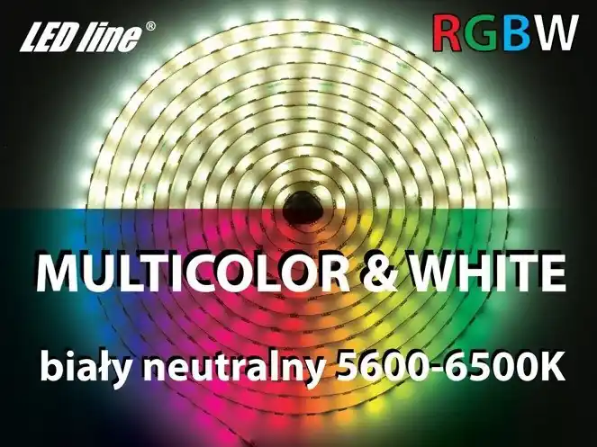Taśma LED line 300 SMD 5060 RGBW 6000K - 7000K 1 metr | Oszczędź