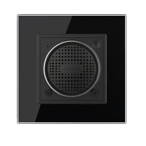Ostatnie egzemplarze - Moduł głośnika Bluetooth 16A LIVOLO - czarny WBS-62